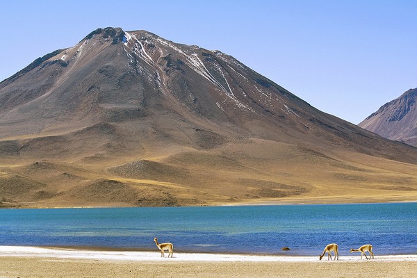 chile