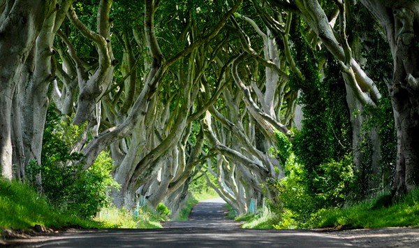 GOT-nordirland