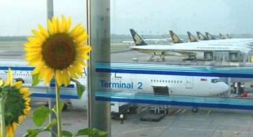 In Singapur wird ein Zwischenstopp zum Erlebnis