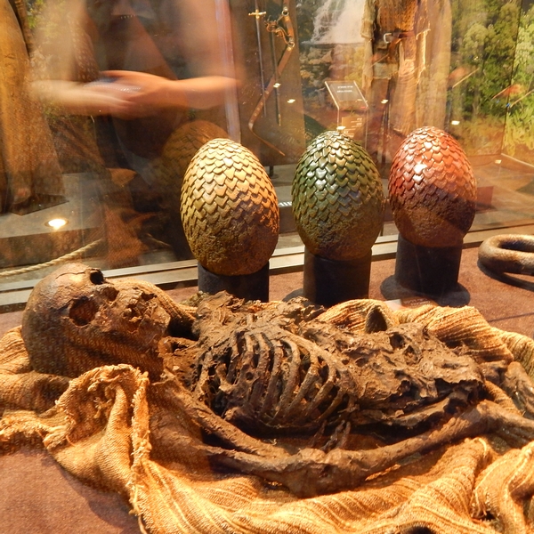 drachen-eier
