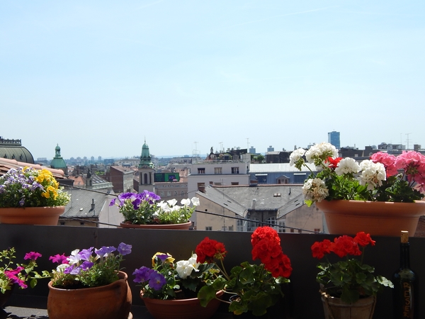 blumen-zagreb