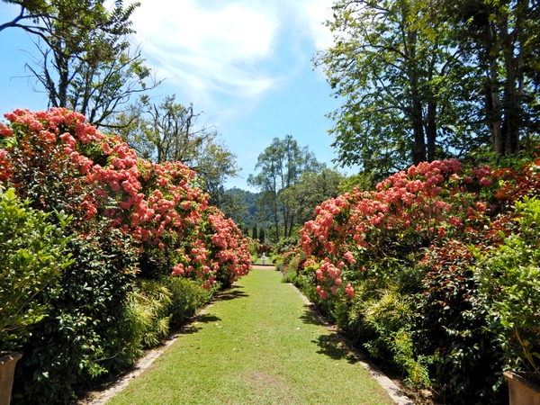 botanischer-garten-penang