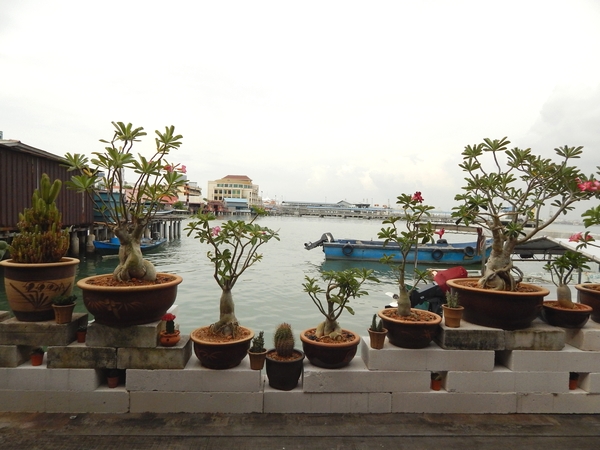 jetty