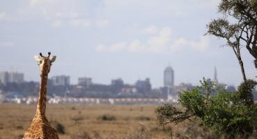 Neue Nairobi-Flüge bei der Lufthansa