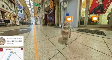 Street View aus der Katzenperspektive