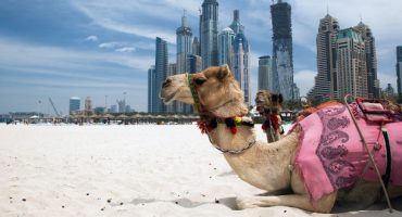 Gesundheitstourismus: Dubai Reiseziel des Jahres