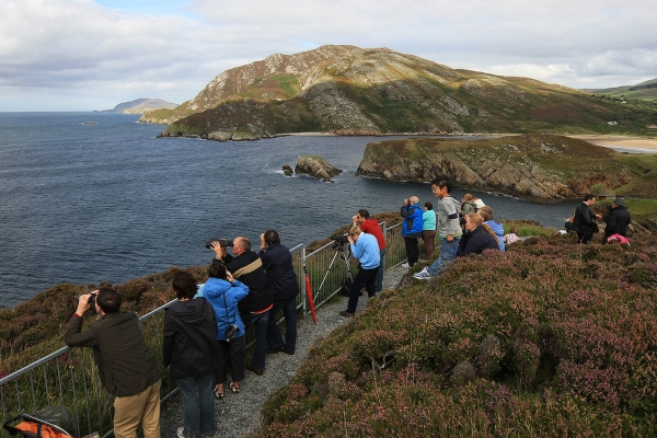 dunree-irland-walbeobachtung