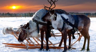Welches Reiseziel passt zu Weihnachten am besten zu Ihnen?