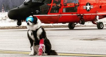 Dieser coole Hund sorgt für Sicherheit auf der Landebahn