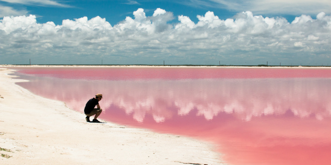 Yucatán: Rosa Lagune wird zum Instagram-Hit - Reisemagazin - LILIGO.com