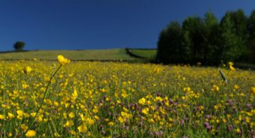 Nachhaltigkeit im Urlaub